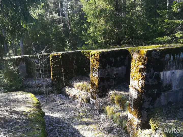 Экскурсия — Выборг — Затерянный мир Карельского пе