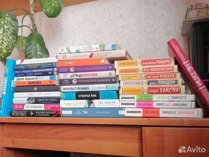 Коллекция Книг Классика Саморазвитие Духовность