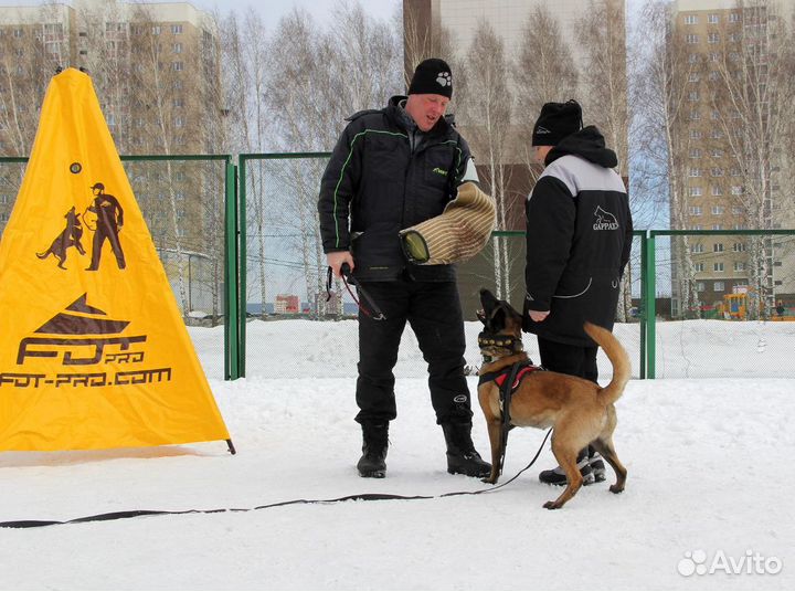 Щенки бельгийской овчарки малинуа