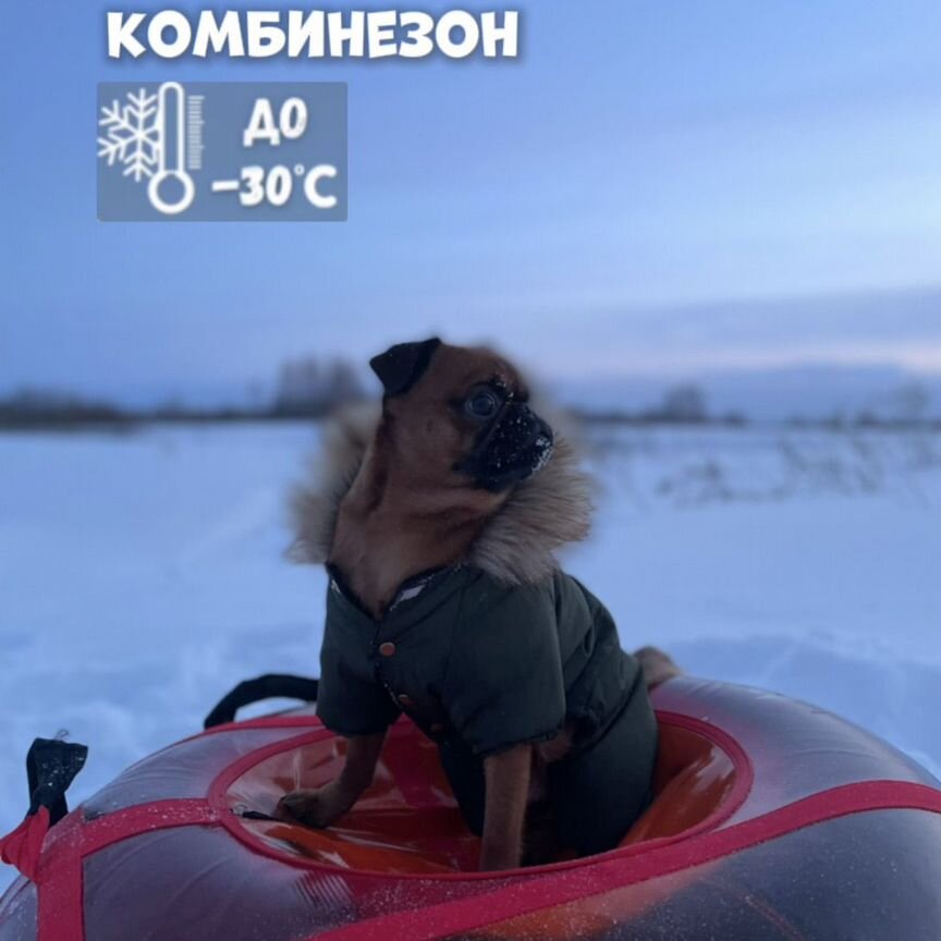 Зимний комбинезон для собак