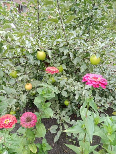 Дача 15 м² на участке 10 сот.