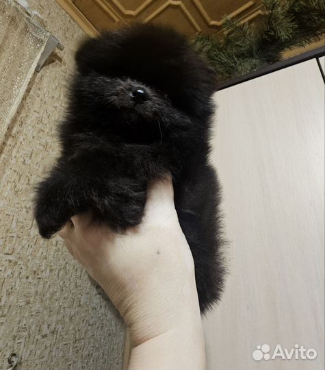 Мишки мальчишки