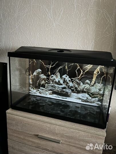 Аквариум на 100 литров