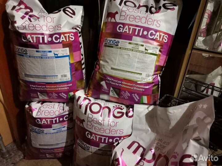 Корм для котов и кошек