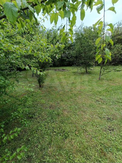 Дом 94 м² на участке 50 сот.