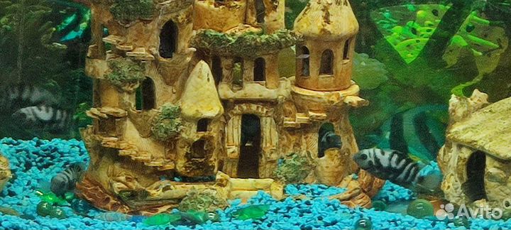 Аквариум с рыбками