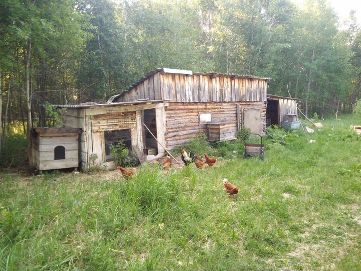 Участок 4 га (СНТ, ДНП)