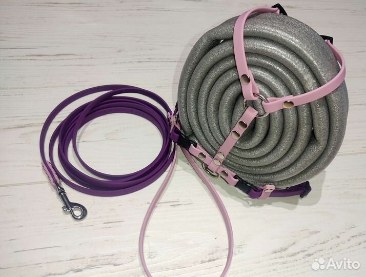 Ошейник, шлейка Поводок для собак