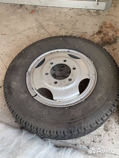 Запасное колесо на газон next