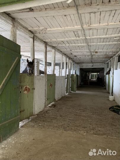 Постой для лошадей