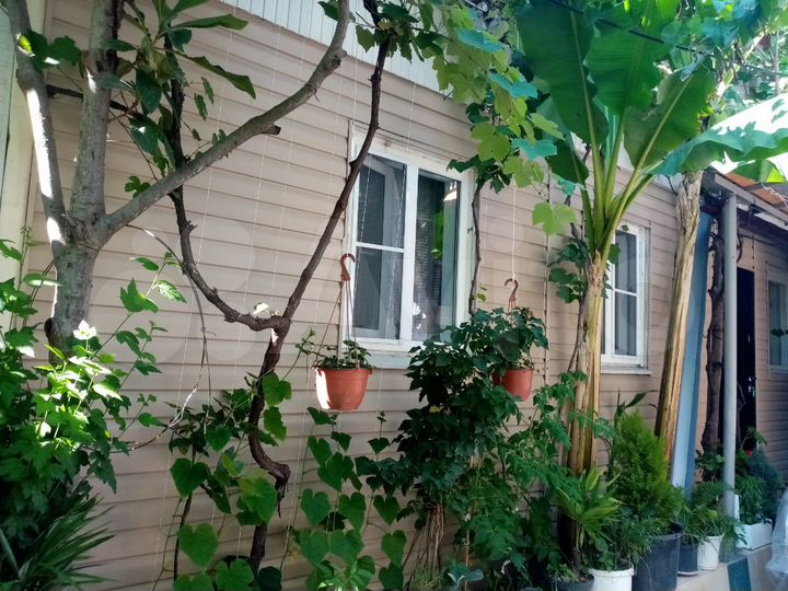 Дом 25 м² на участке 3 сот.