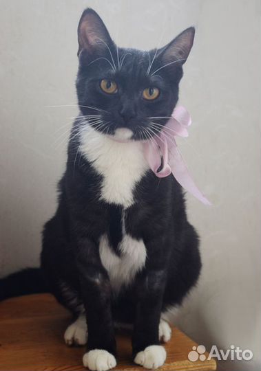 Белые носочки и нежная душа Лилу