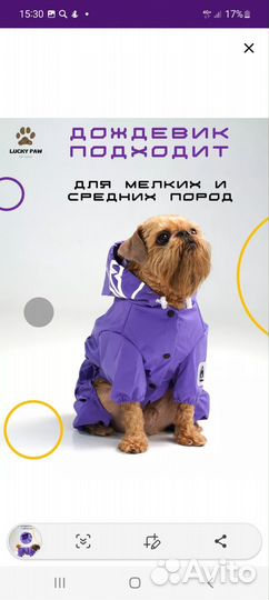 Дождевик для маленькой собаки Размер М