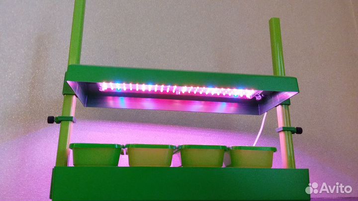 Мини огород домашний новый