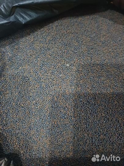 Грунт для аквариума