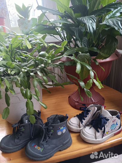 Демисезонные ботинки
