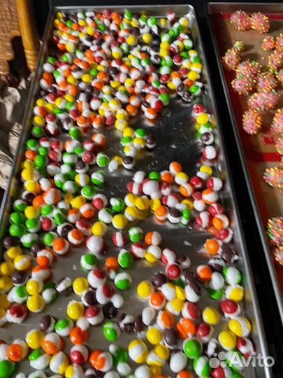 Сублимационная (лиофильная) сушилка