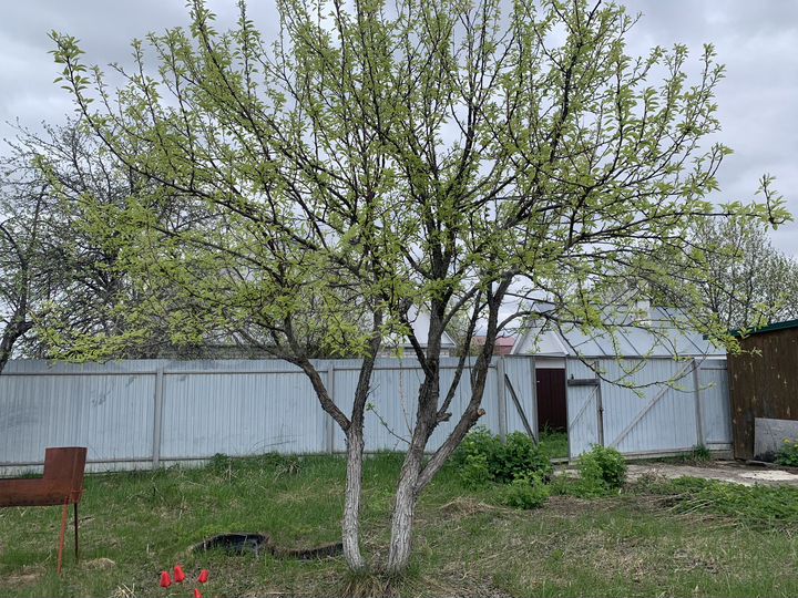 Дача 50 м² на участке 5,6 сот.