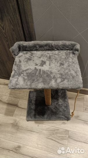 Когтеточка новая