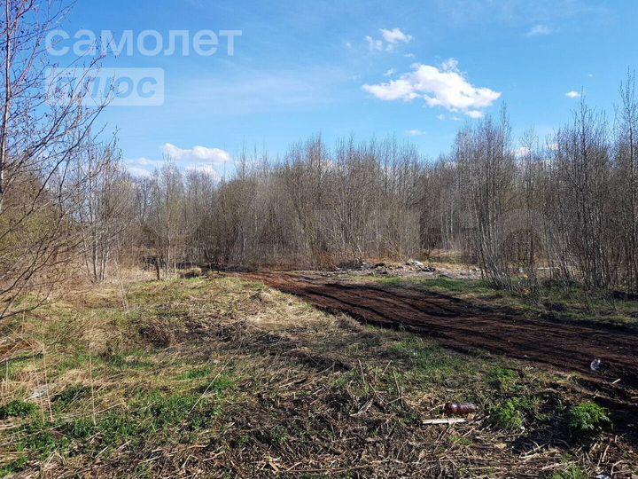 Участок 10 сот. (ИЖС)