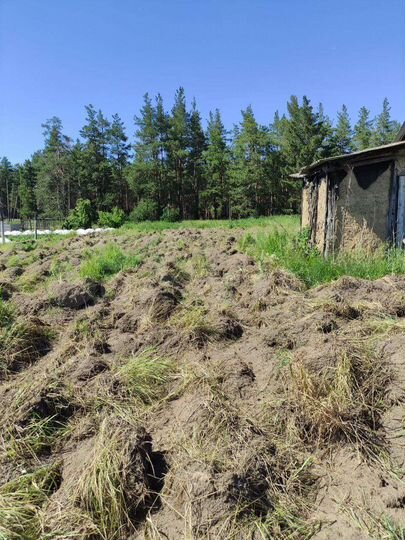 Дом 45 м² на участке 12 сот.