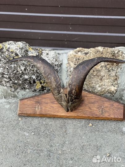 Рога подвесные