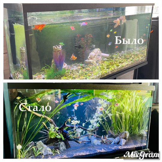 Чистка аквариума (уход и обслуживание)