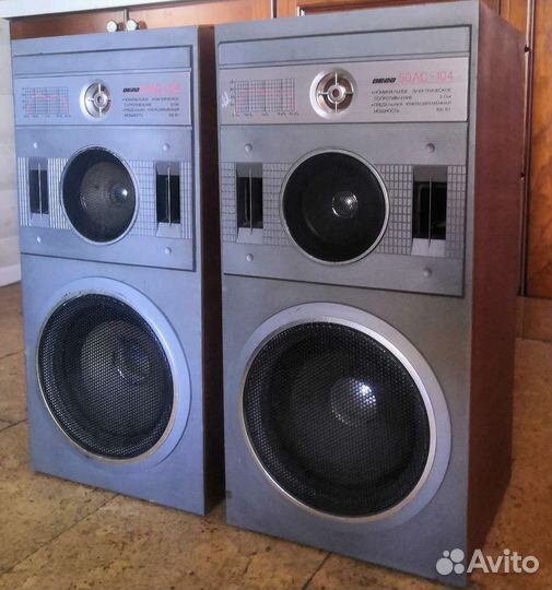 Колонки Вега 50ас 104