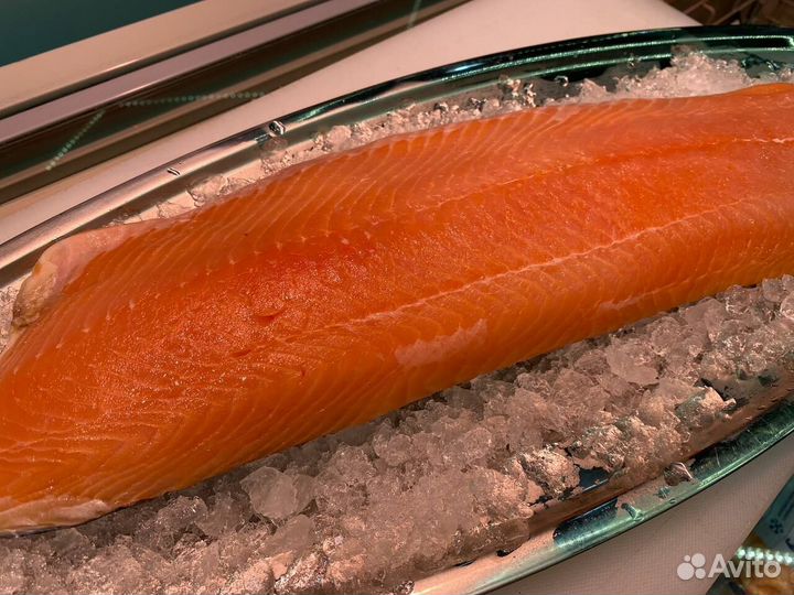 Лосось филе слабосолённый. Оптом