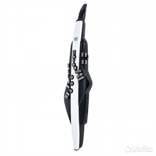 Roland Aerophone AE-20