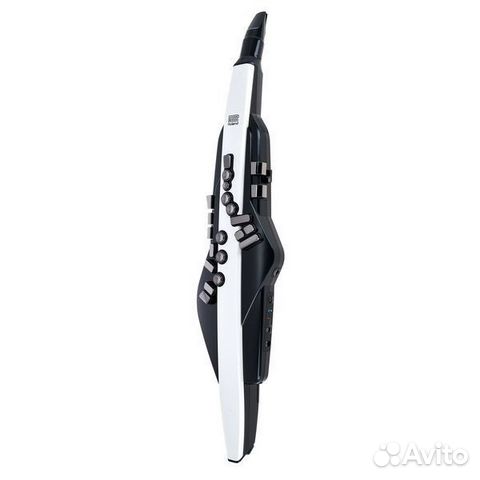 Roland Aerophone AE-20