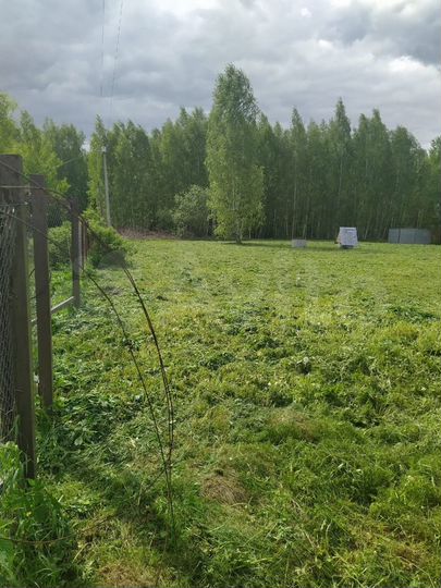 Участок 45 сот. (СНТ, ДНП)