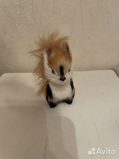 Белочка, крысята