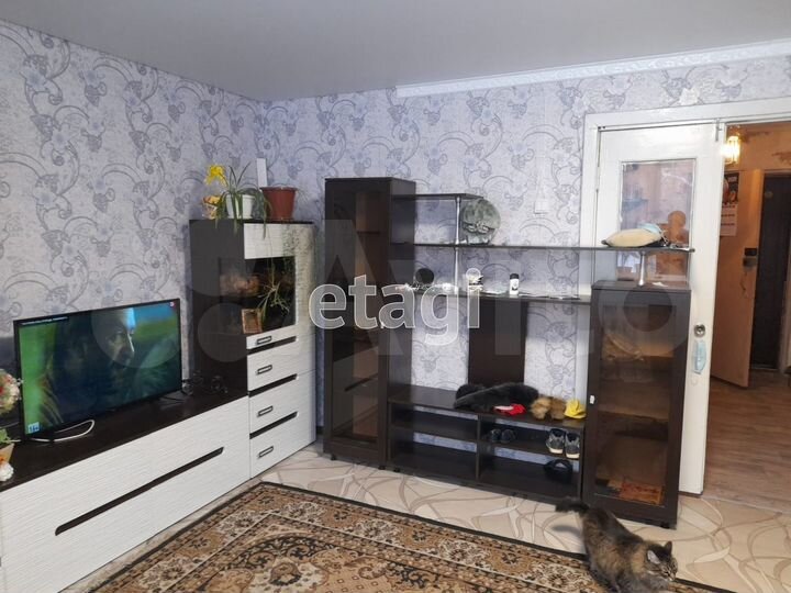 4-к. квартира, 110,6 м², 1/5 эт.