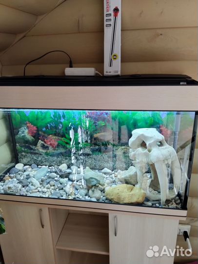 Аквариум