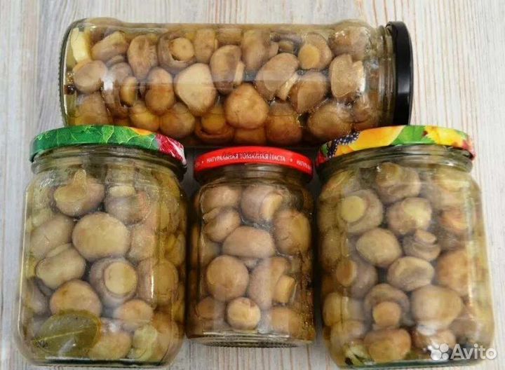 Грибы маринованные