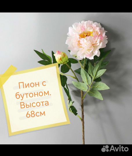 Эвкалипт, пионы искусственные для декора