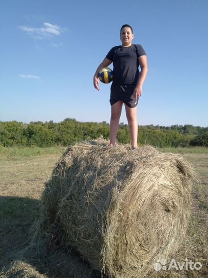 Продам сено в тюках с тогул