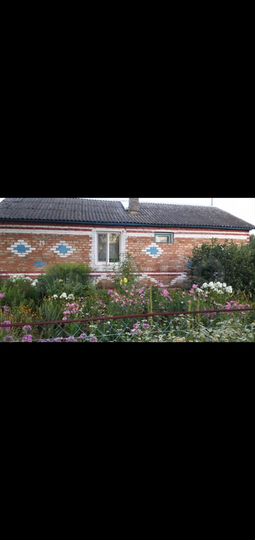 Дом 60 м² на участке 12 сот.