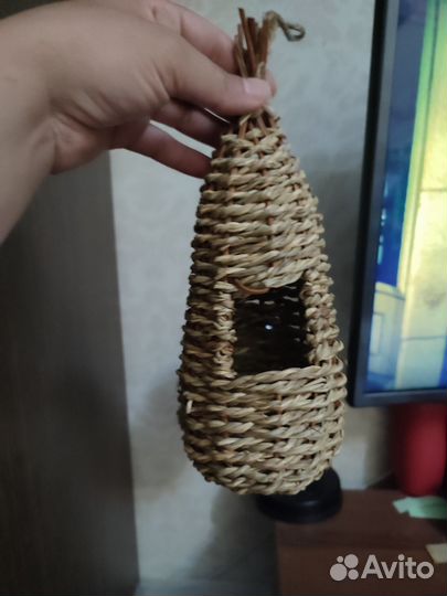 Гнездо на амадин