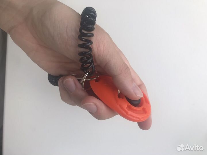 Рулетка, ошейник, кликер и фильтр