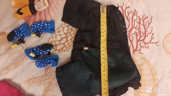 Одежда для маленьких пород собак