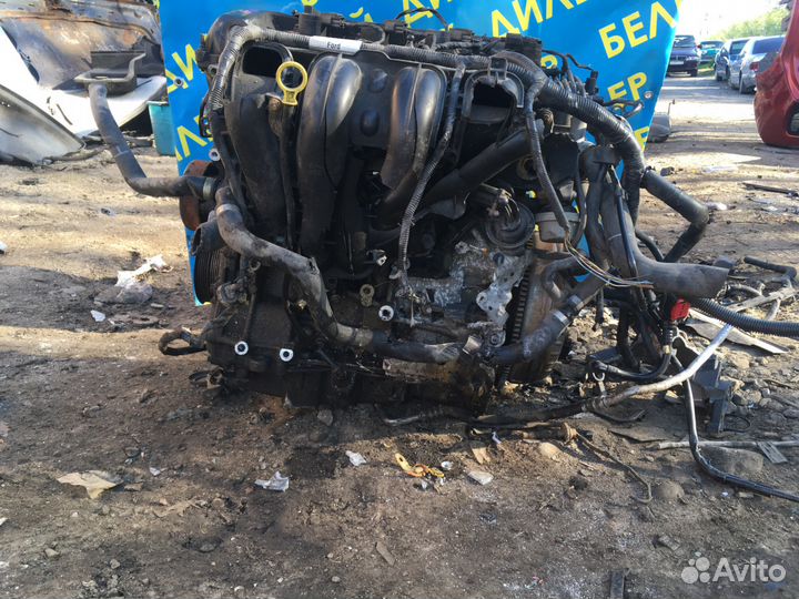 Двигатель Ford Focus 2 aoda 2 литра на запчасти