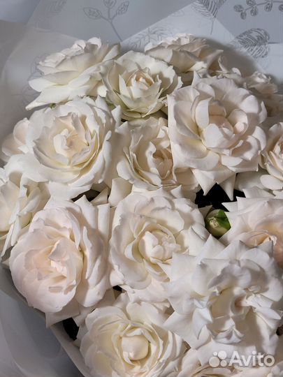 Живые цветы букеты