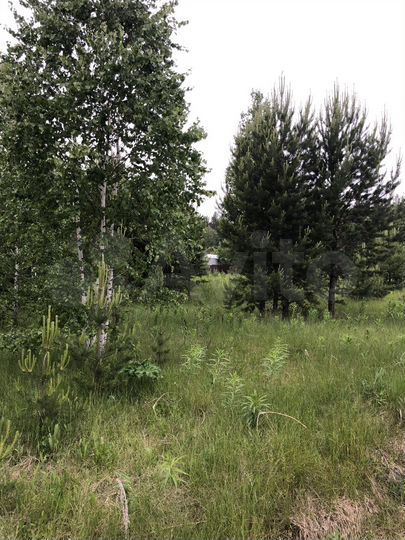 Участок 15 сот. (СНТ, ДНП)