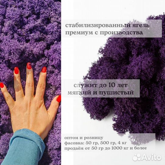 Стабилизированный мох ягель, плоский. Арт223, от