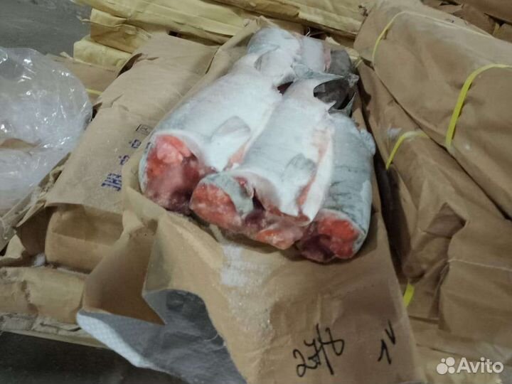 Красная рыба