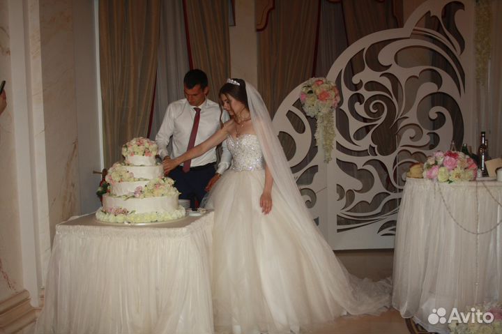 Ведущий Тамада+Музыка Видео Фото