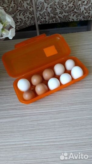 Яйцо куриное домашнее, деревенское
