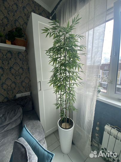 Искусственная пальма